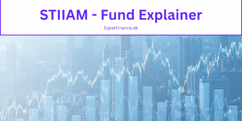 A graphic featuring a white header bar with the text "STIIAM - Fund Explainer" and "ExpatFinance.dk". The background consists of a blue-toned city skyline with a white stock market line chart and candlestick graph superimposed over it.